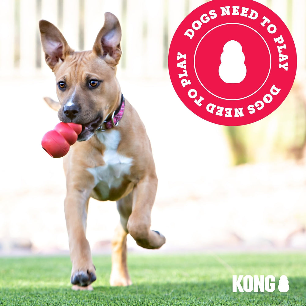 KONG Luvs Elefante, duradero y flexible para sesiones largas.