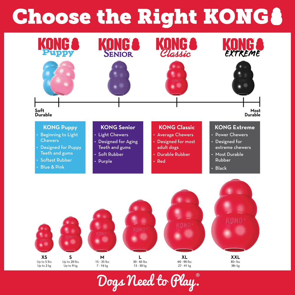 KONG Marathon: ideal para sesiones diarias de juego con juguetes KONG.