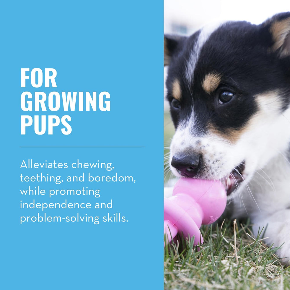 KONG Puppy Binkie: intérieur creux idéal pour garnir friandises et prolonger le jeu.