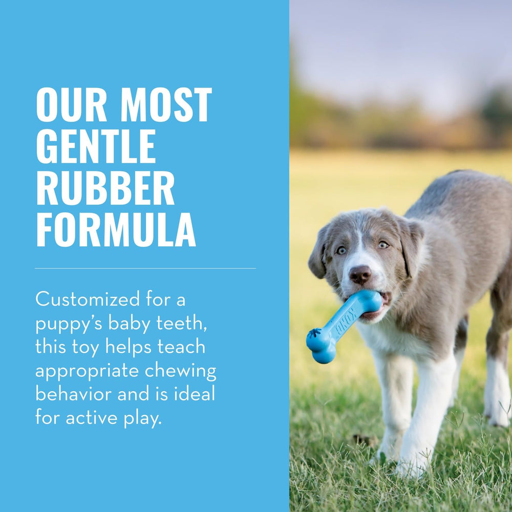 KONG Puppy Goodie Bone dentición natural, ayuda a encías sensibles durante el juego.