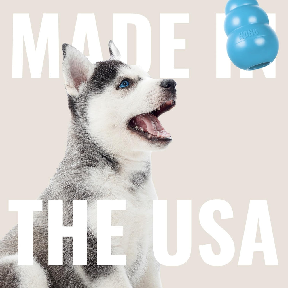 KONG Puppy Goodie Bone, uso diario seguro para cachorros curiosos.