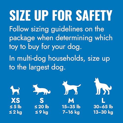 KONG Puppy juguete-rebote para perros, ideal para juegos de buscar.