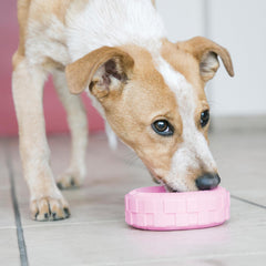 KONG Puppy Tires goma natural, ideal para masticar y calmar molestias de dentición