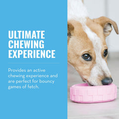 KONG Puppy Tires rellenable, permite premios y estimulación mental durante el juego