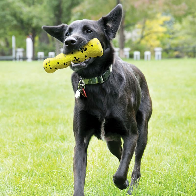 KONG Reflex Stick Md, material resistente para sesiones de masticación.