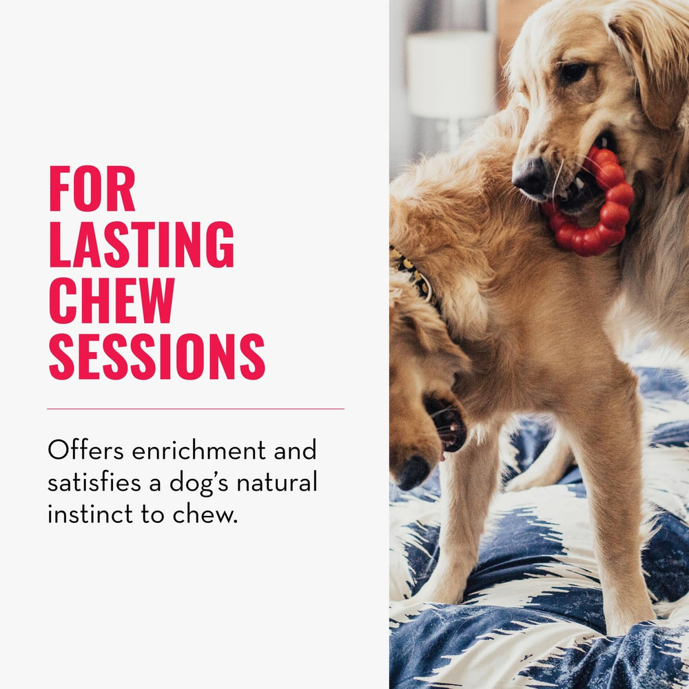 KONG Ring: juguete dental para perros medianos y grandes durante el juego diario.