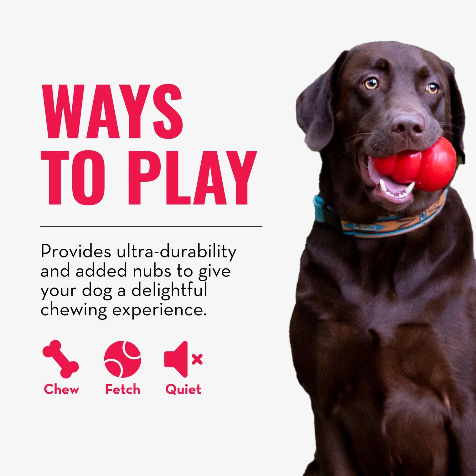 KONG Ring: fabricado en EE. UU., calidad para perros activos.