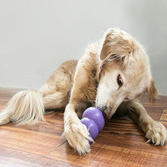 KONG Senior, pack de dos, perfecto para juego prolongado en perros medianos.