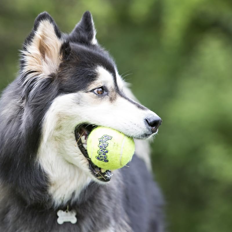 KONG Squeakair tamaño mediano facilita el juego para perros de tamaño medio
