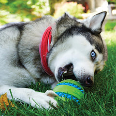 KONG Squeezz Goomz Ball Lg con texturas mixtas para masticar y estimular