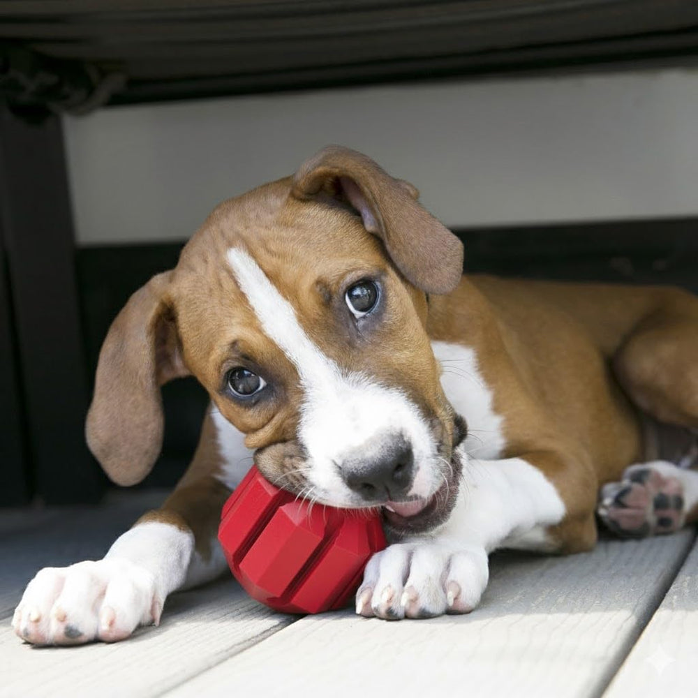 KONG Stuff-A-Ball: diseño interactivo para perros medianos