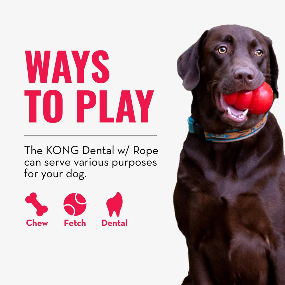 KONG con texturas: canal seguro para satisfacer el instinto de masticación.
