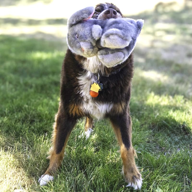 Kong Toughz con doble chirrido para estimular el juego dinámico