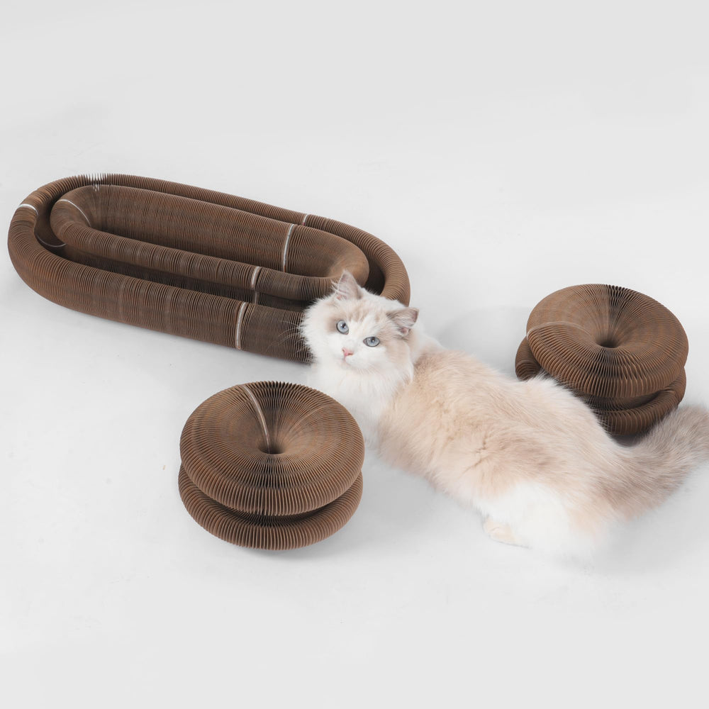 KONOATOR Magic Organ: juguete interactivo para gatos de interiores.