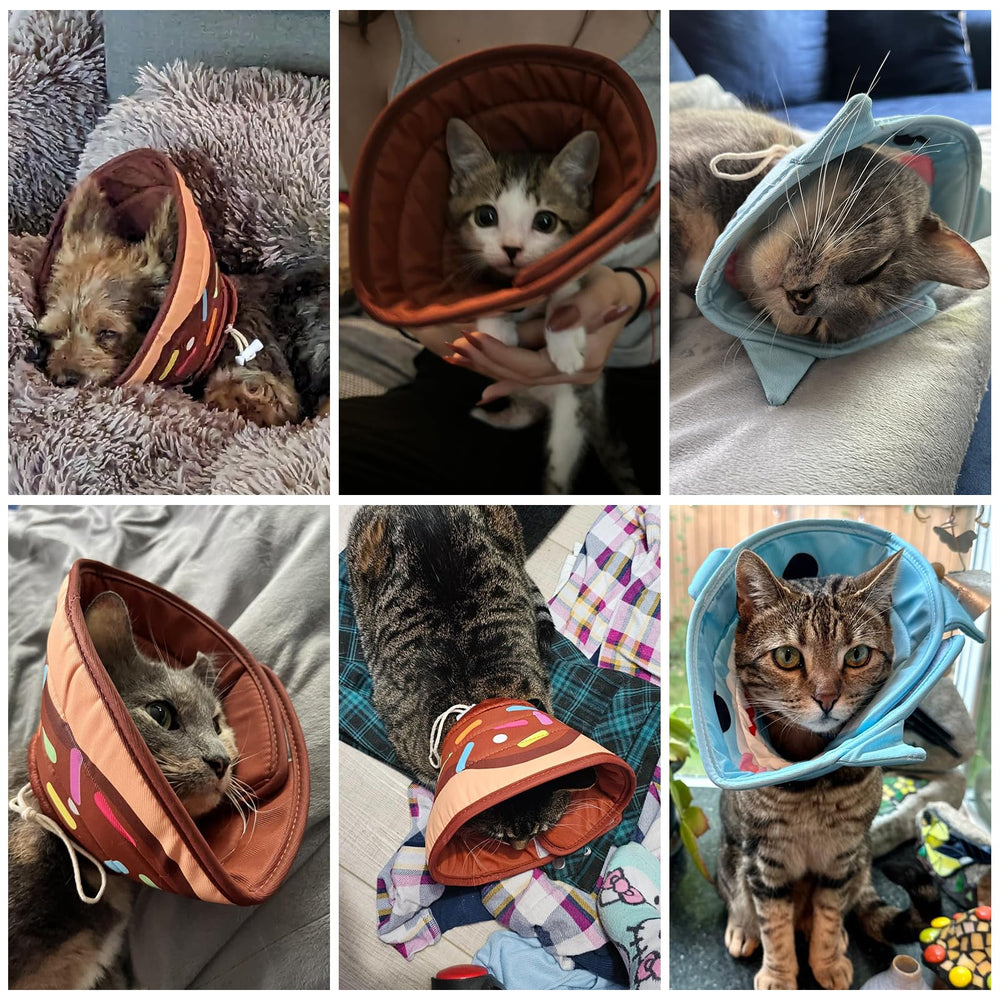 KOOLTAIL collar-gato cierre Velcro para colocar y quitar fácilmente
