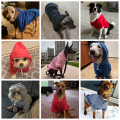 KOOLTAIL sudadera para perro, apertura de correa, ideal para paseos con correa