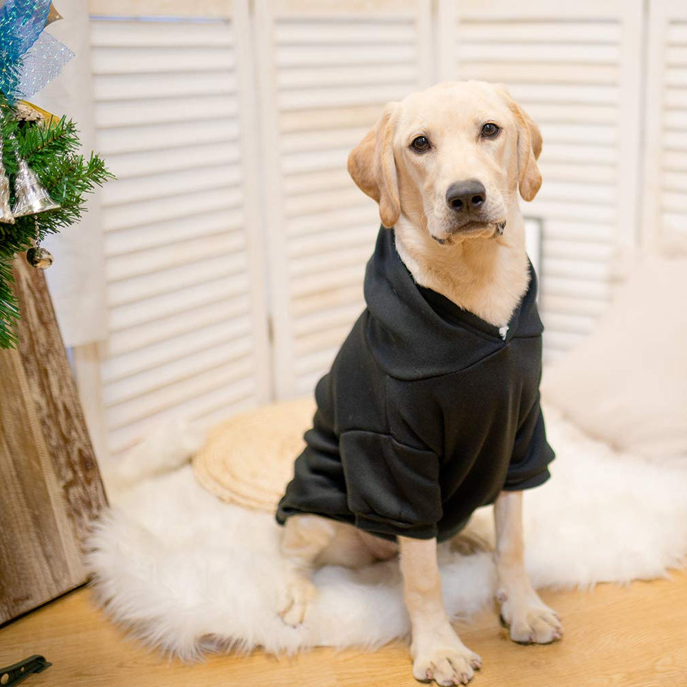 KOOLTAIL sudadera para perro, bolsillo trasero, almacenamiento práctico para paseos