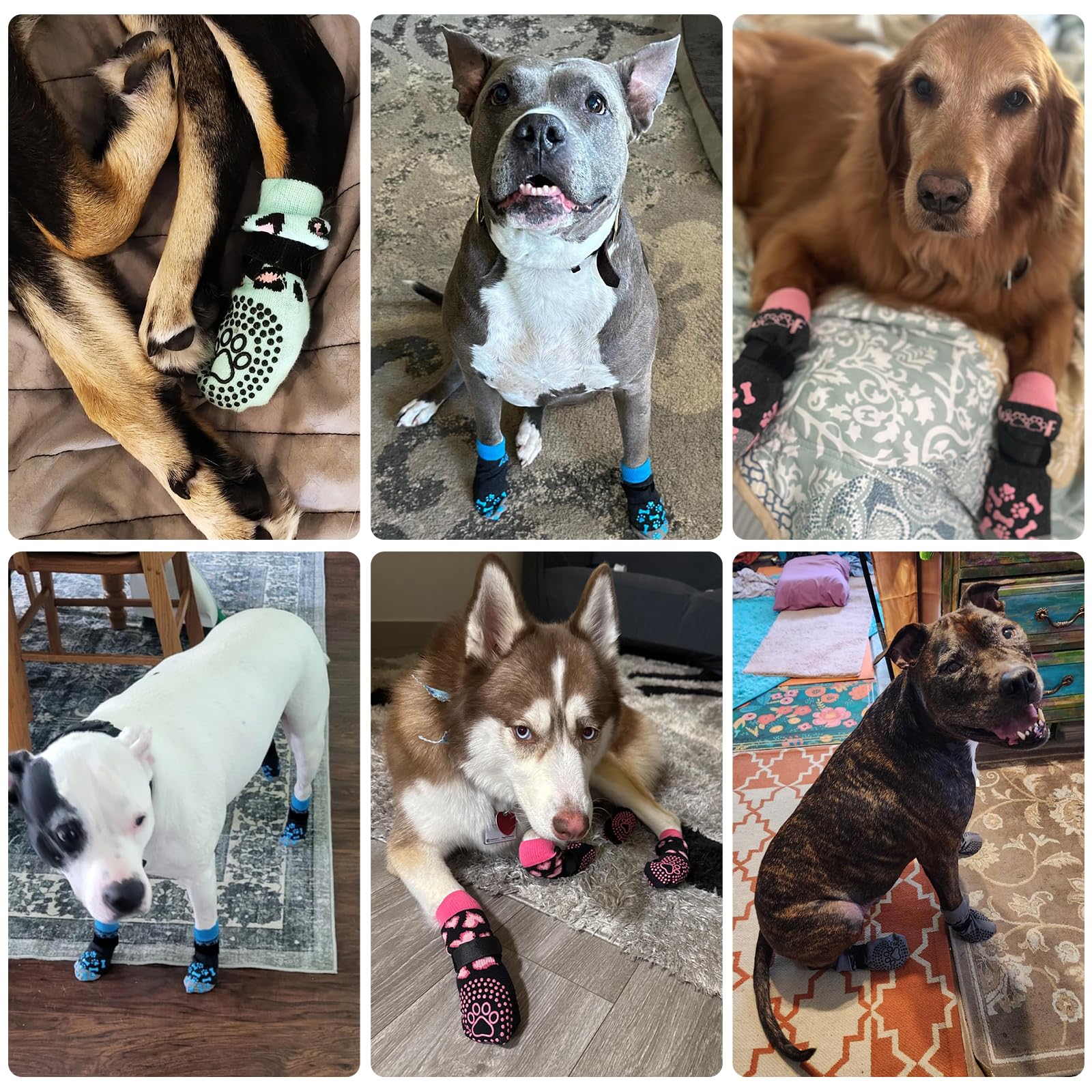 KOOLTAIL zapatos para perro, seguridad y confort en cada paseo.