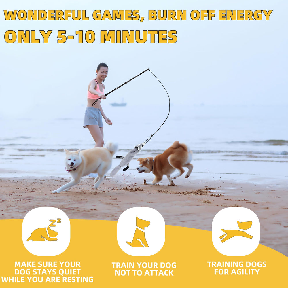 KOXXUD Flirt Pole Dogs con longitud ajustable para juego interior y exterior.