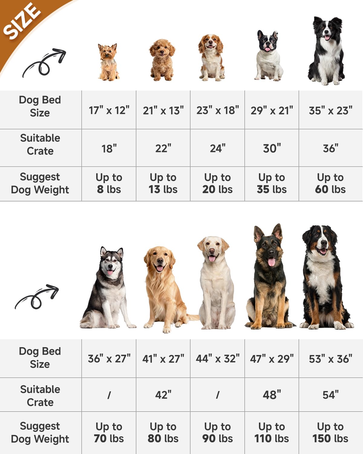 KSIIA cama 41x27 pulgadas para perros medianos.