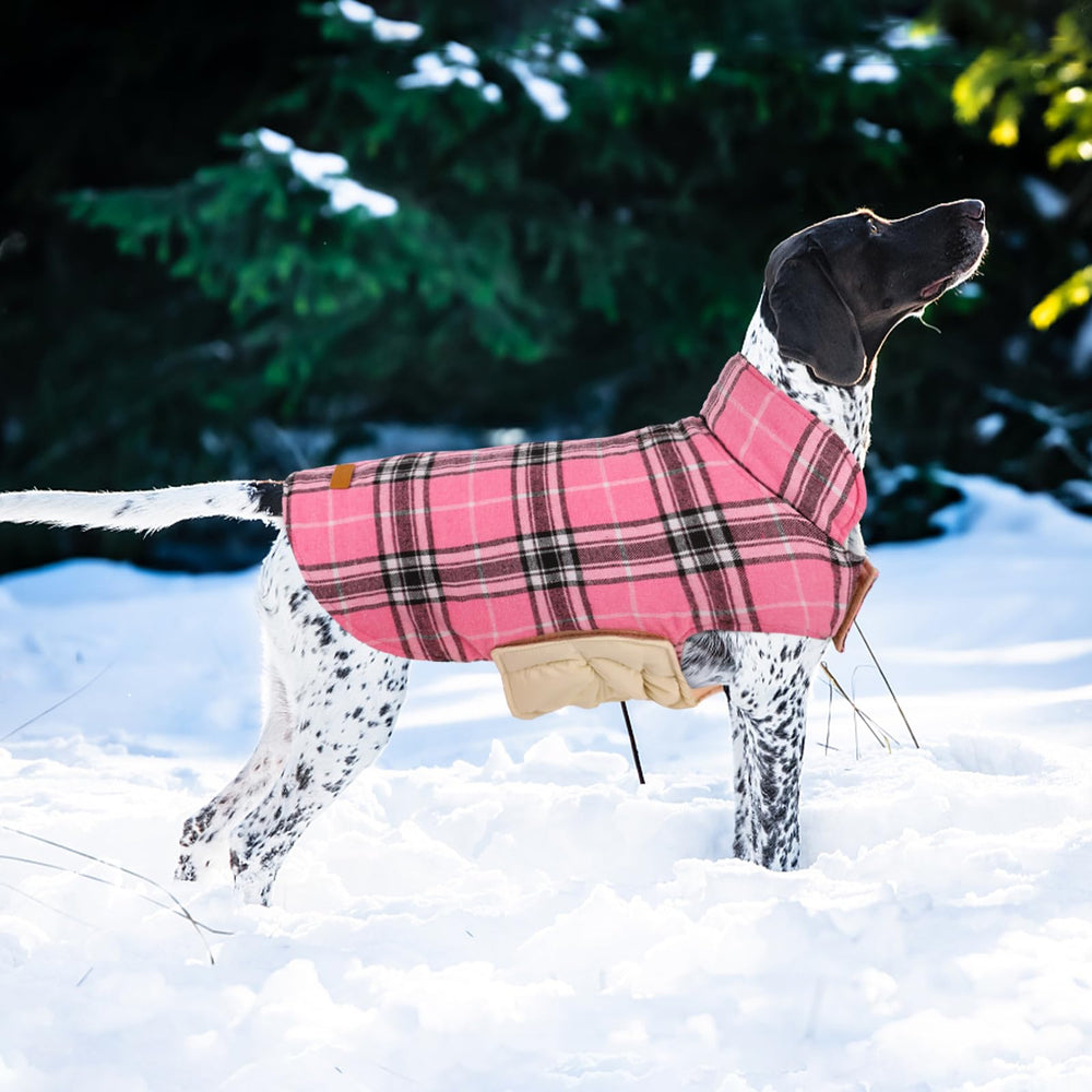 Kuoser abrigo perro estampado cuadros vintage: estilo clásico en días fríos.