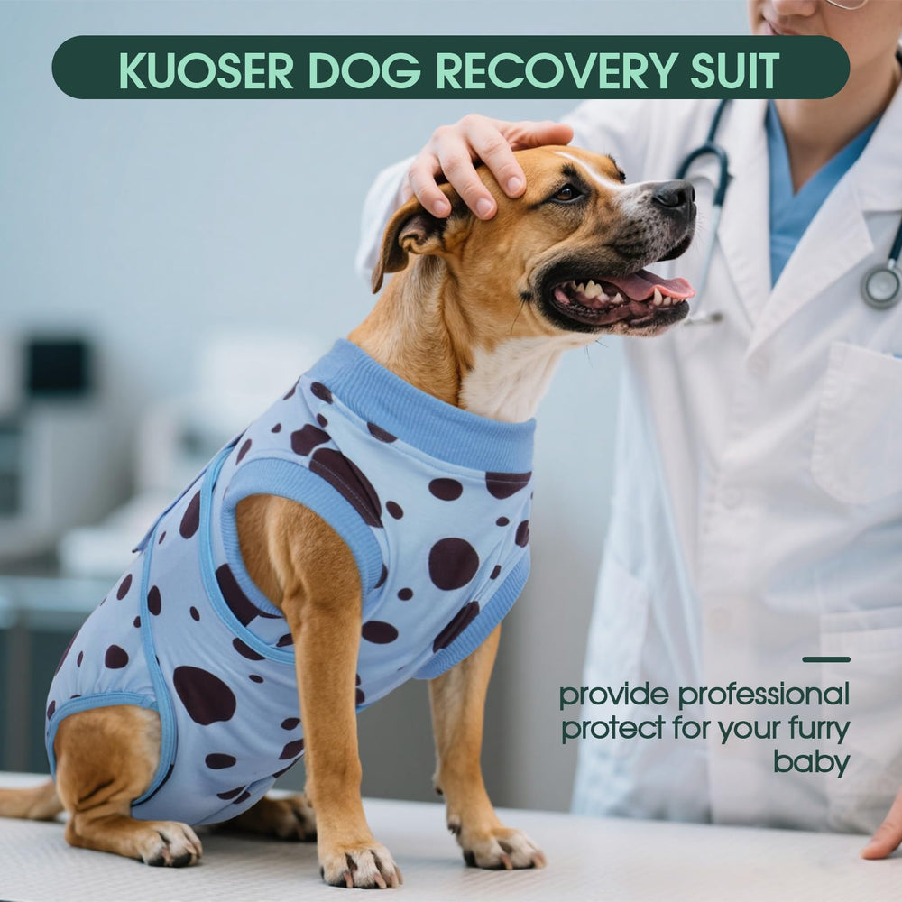 Alternativa al collar, Kuoser protege sin cubrir toda la cabeza.