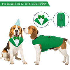 Kuoser bandana para perro aporta estilo y comodidad en salidas