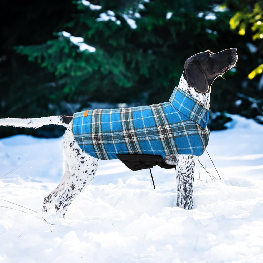 Estampado a cuadros británico Kuoser en 13 colores, aspecto clásico.