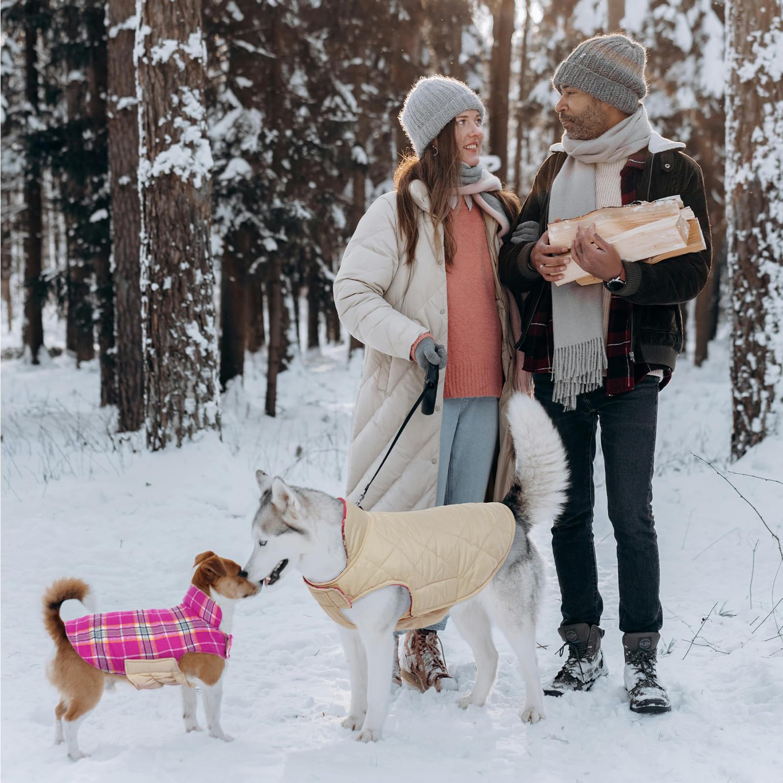 Kuoser capa para perros, disponible en siete tallas para diferentes razas