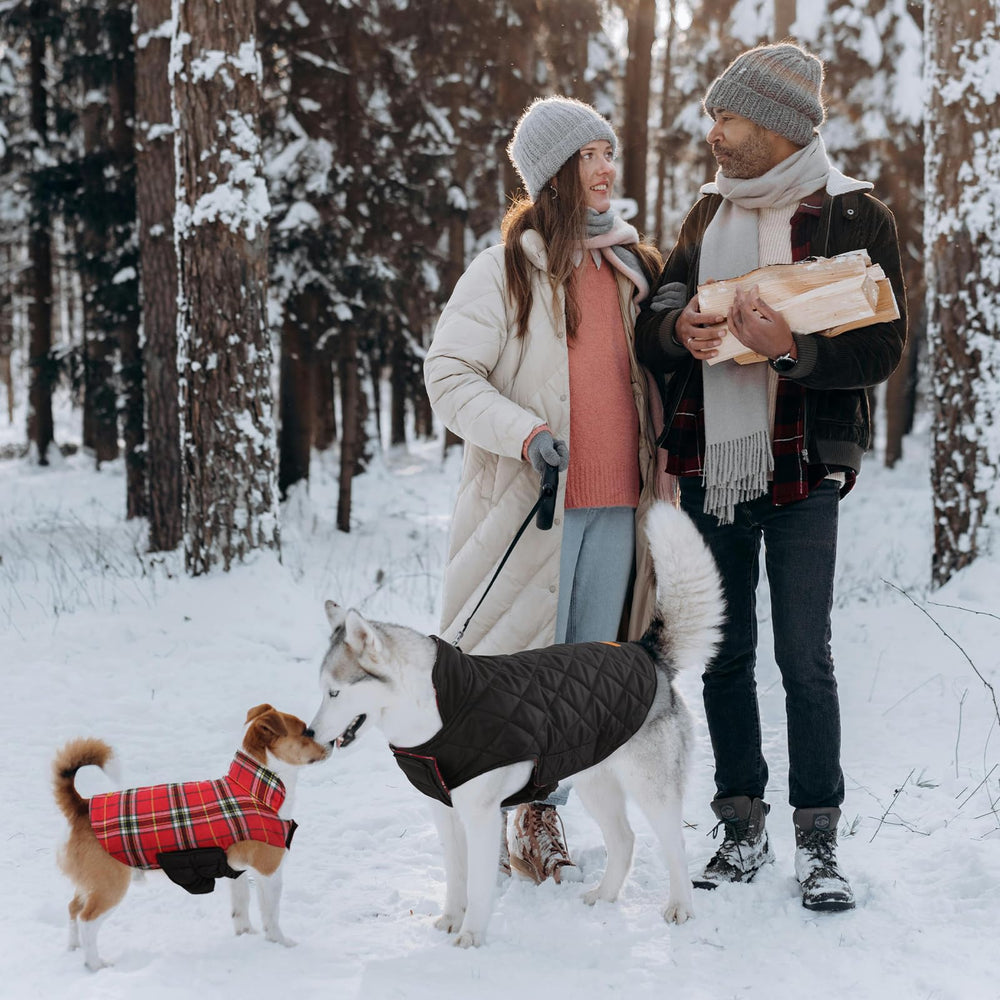 Chaqueta Kuoser para perros, uso exterior en frío para mantener calor y movimiento.
