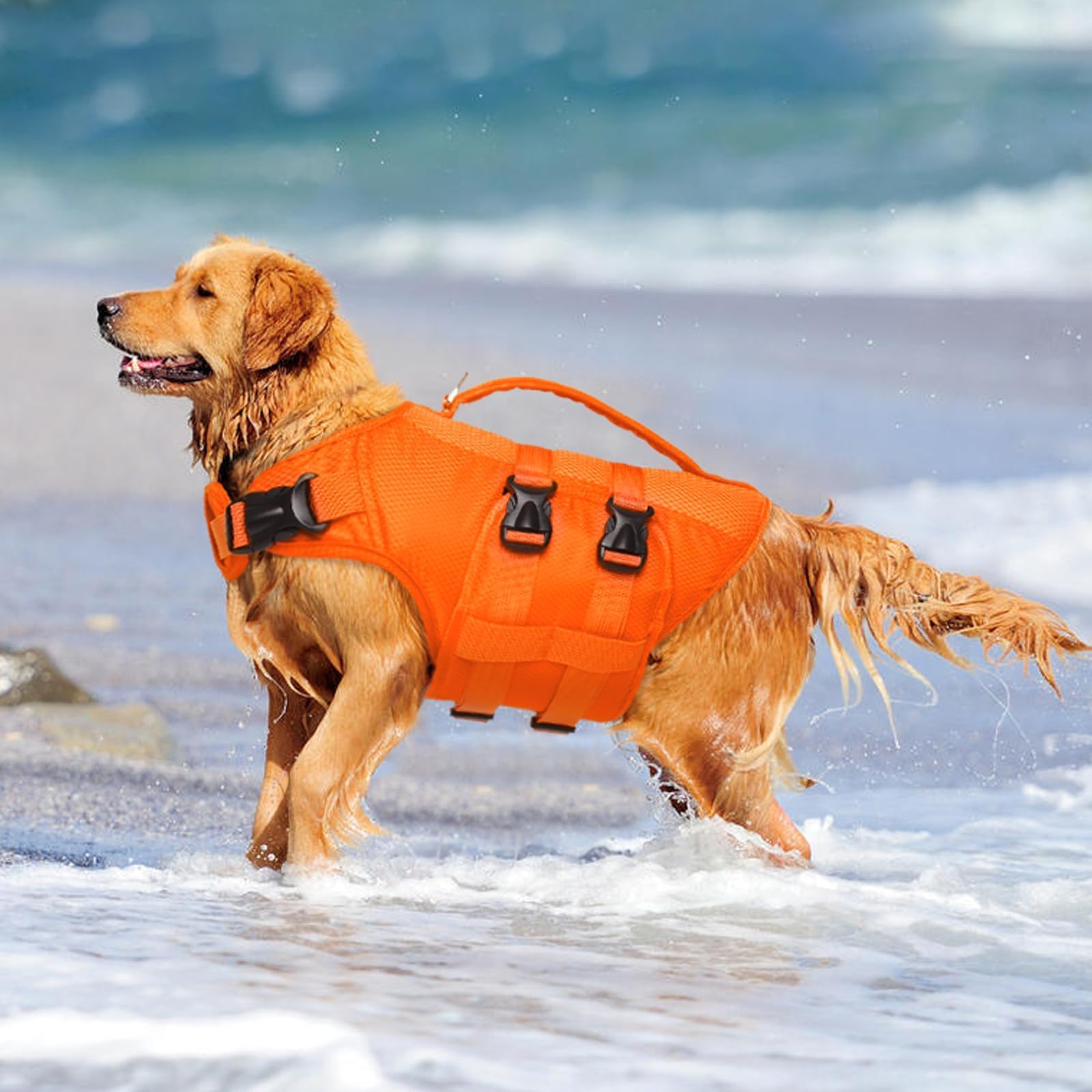 Kuoser chaleco para perro XL, correas ajustables y cuello cómodo
