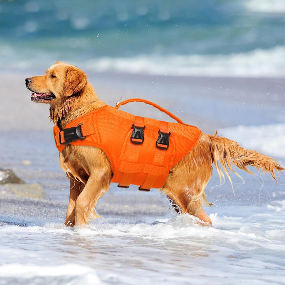 Kuoser chaleco para perro XL, correas ajustables y cuello cómodo