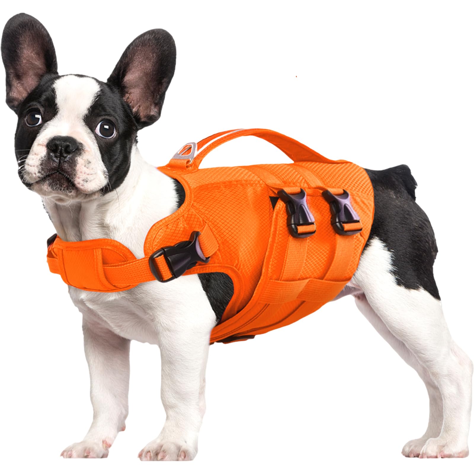 Kuoser chaleco salvavidas para perro XL, vista frontal naranja, ofrece flotación estable para nadar