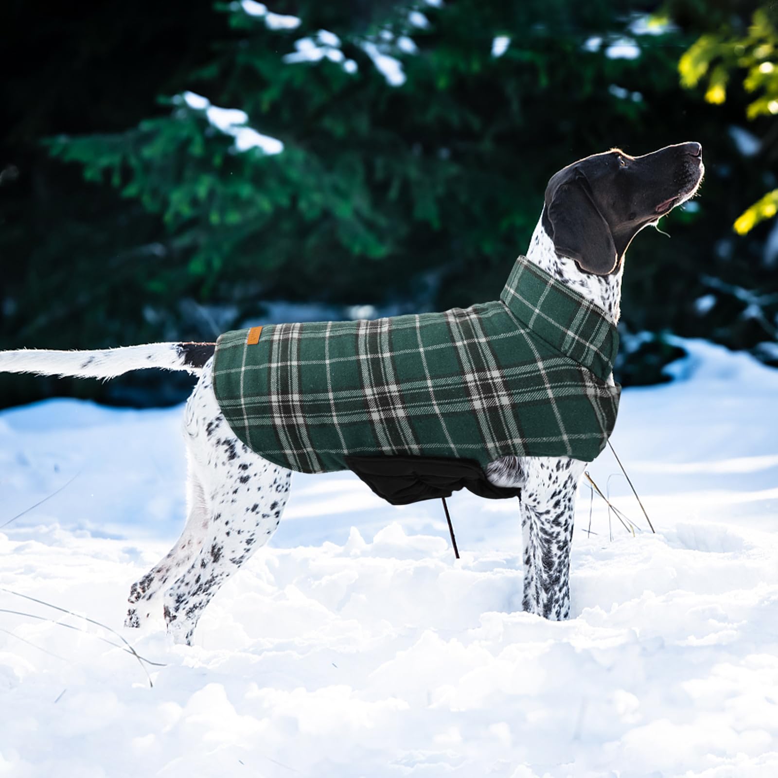 Kuoser chaqueta de invierno para uso exterior verde L, ideal para salidas frías.