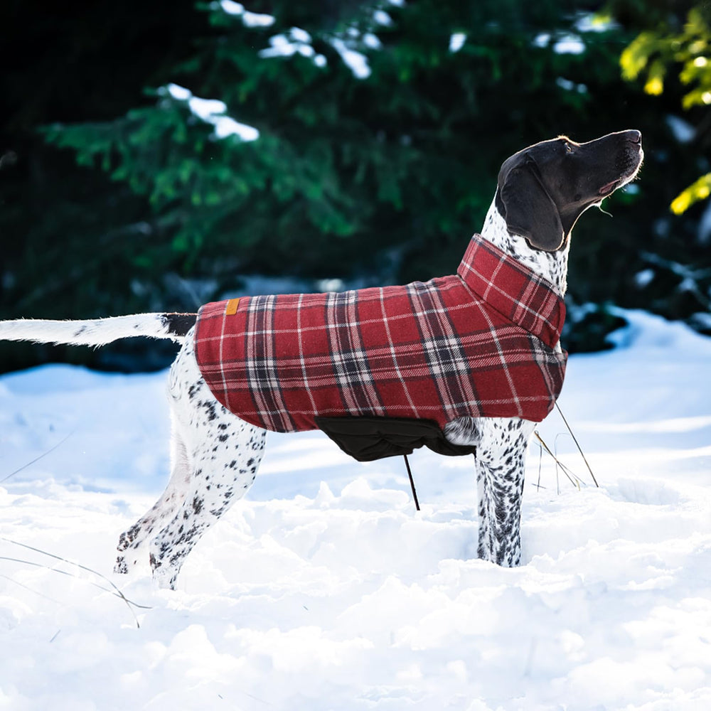 Kuoser chaqueta para perros, disponible en varios colores para uso exterior.