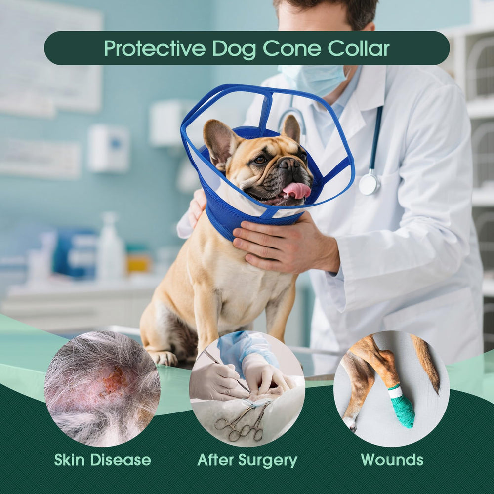 Kuoser cono con malla interior transpirable ofrece comodidad al perro