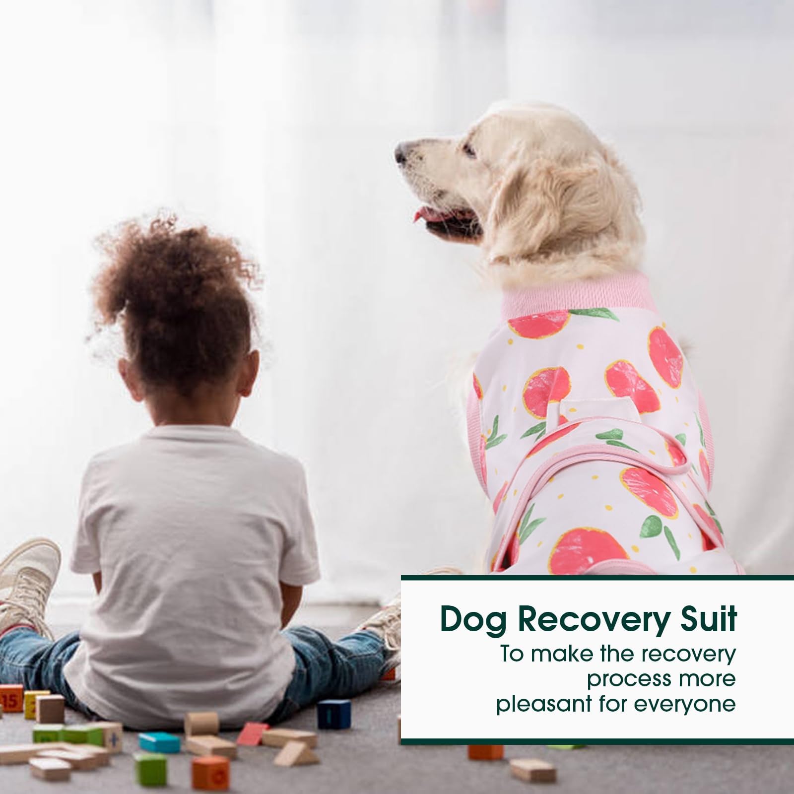 Guía de tallas Kuoser para perros y gatos, ajuste correcto.