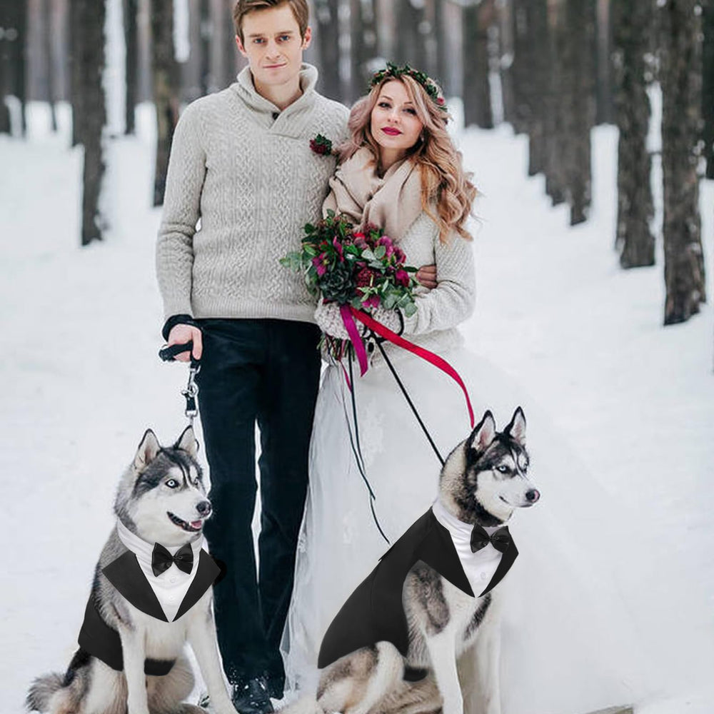 Kuoser look fiesta para perro en bodas y celebraciones
