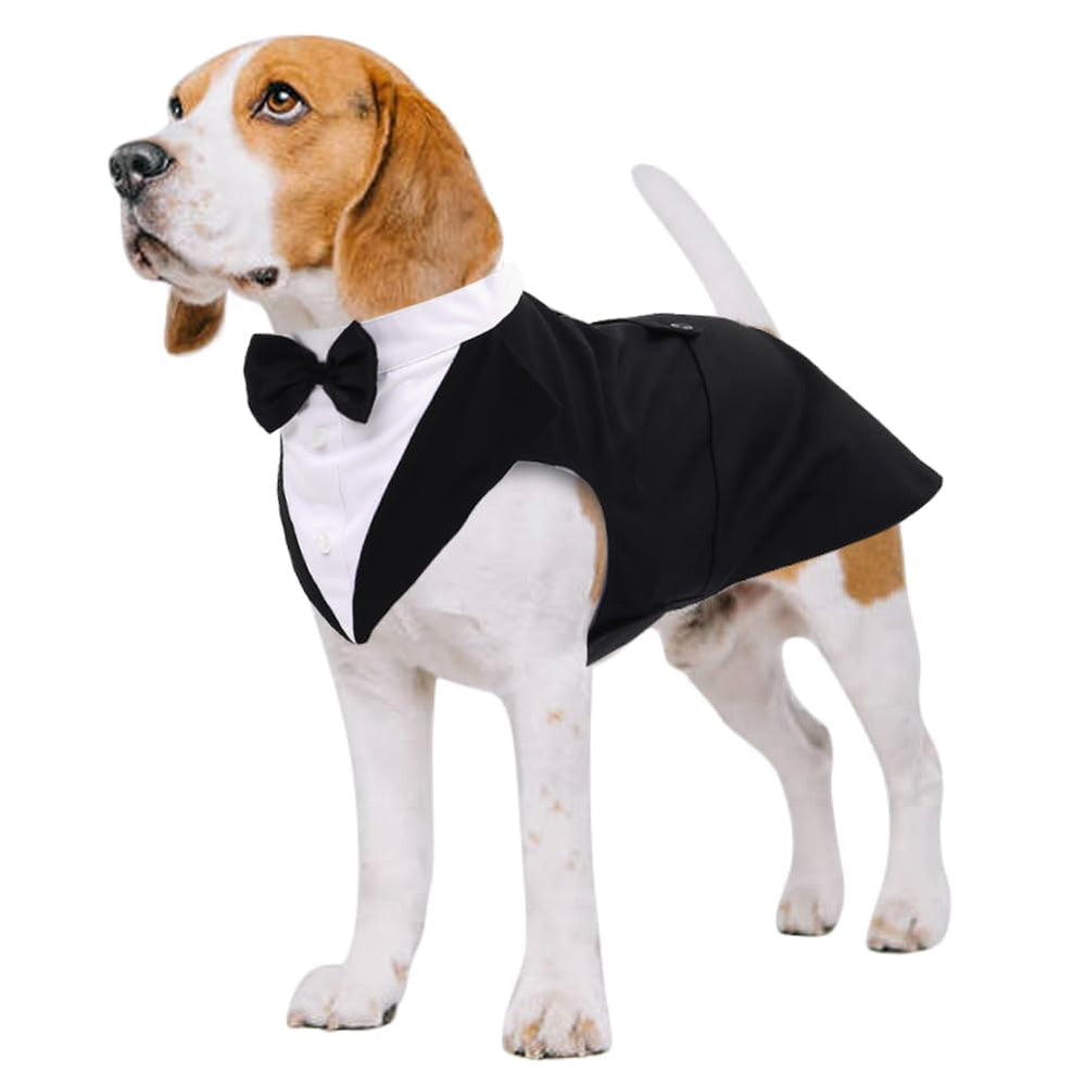 Kuoser smoking para perro con bandana frontal, look elegante para ocasión especial