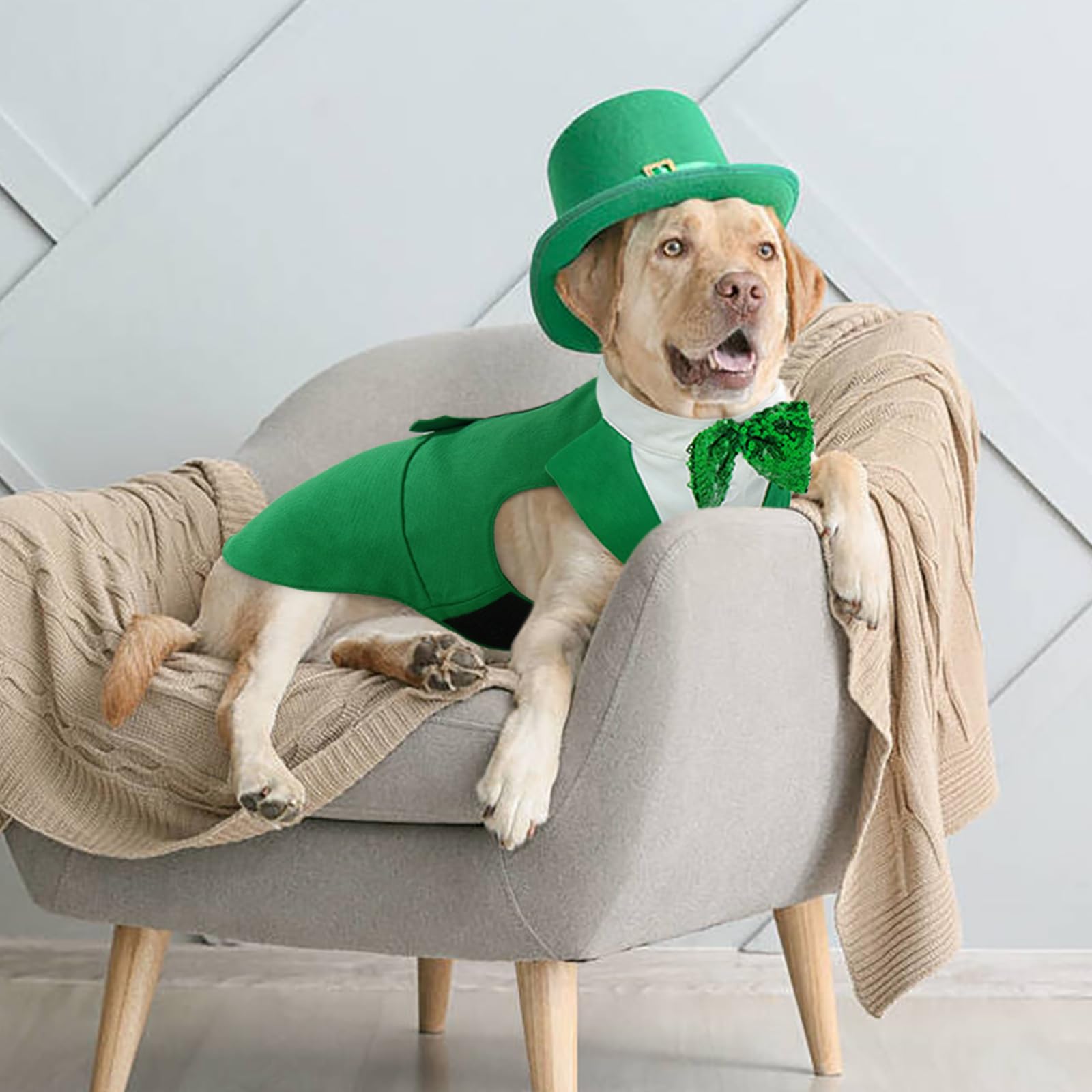 Kuoser tallas para perros medianos y grandes, ajuste cómodo