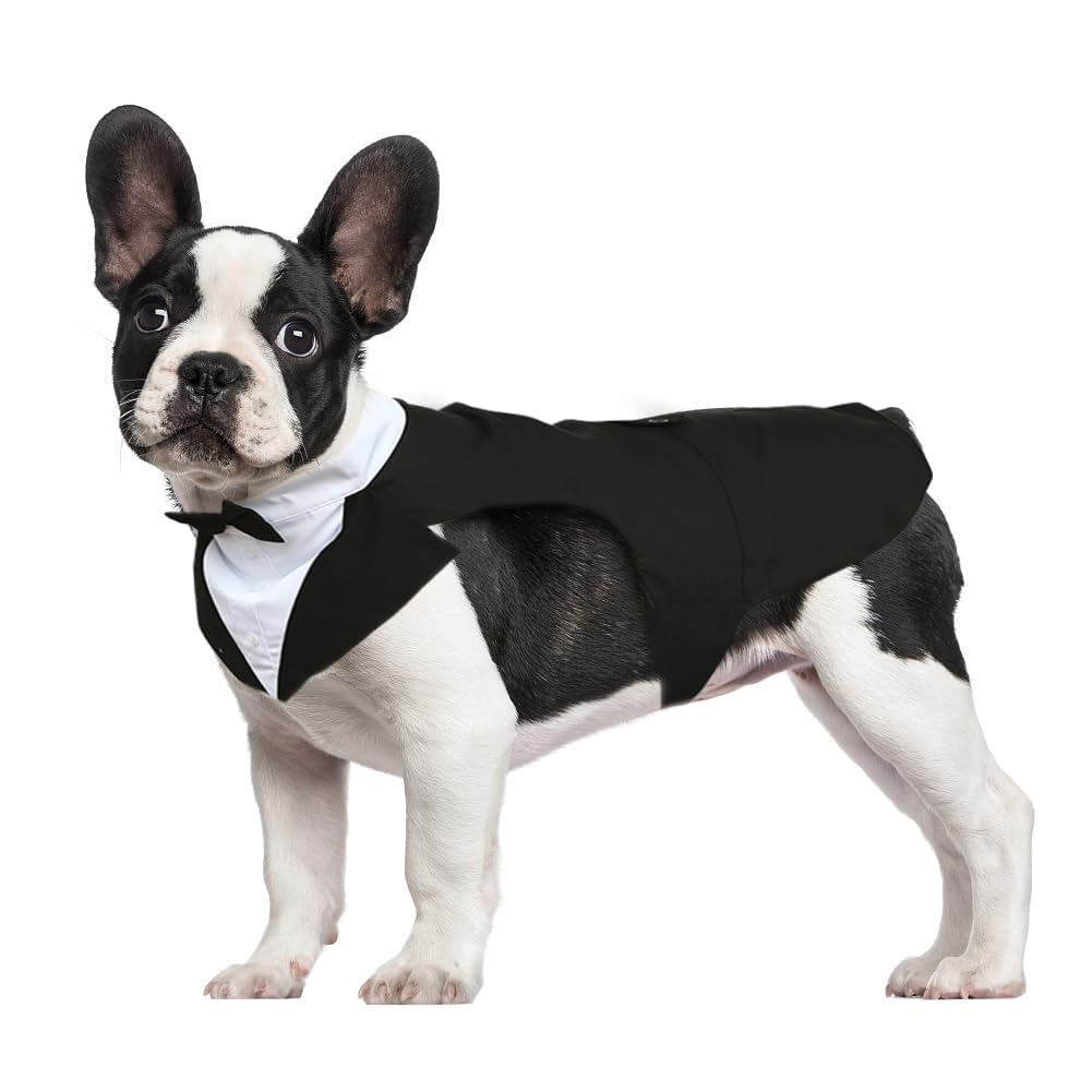 Kuoser traje para perro tuxedo en vista frontal, ideal para bodas