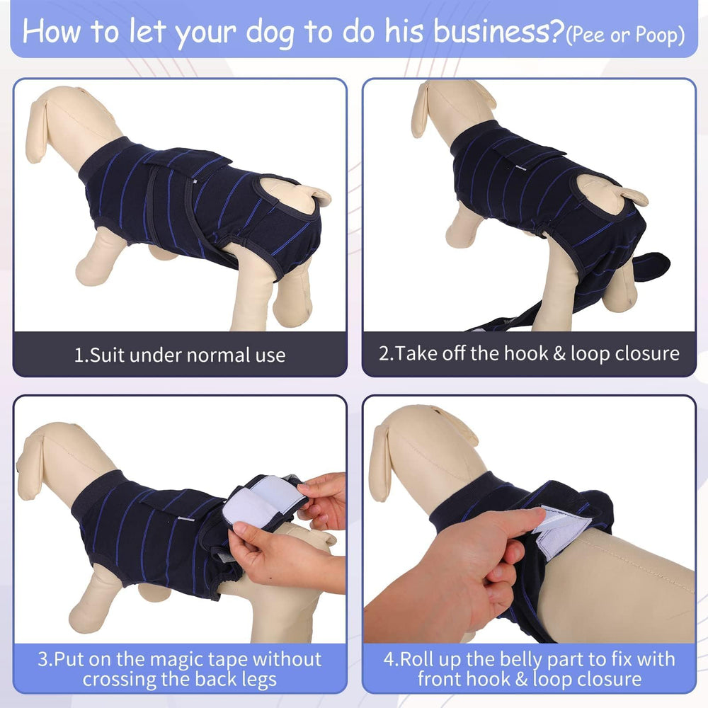 Kuoser alternativa al collar permite comer y jugar