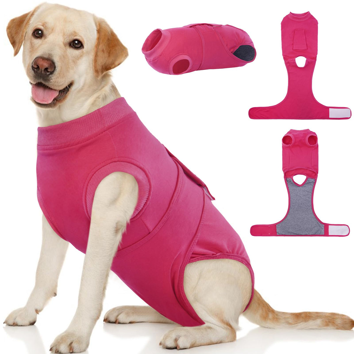 Traje Kuoser para perros puesto, sin collar, protege la incisión durante la recuperación