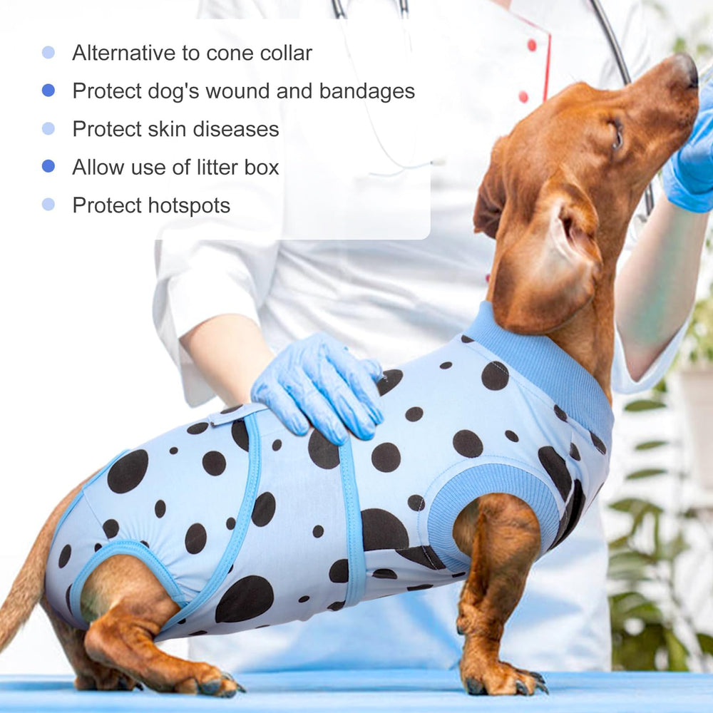 Protección diaria y postoperatoria con Kuoser para mascotas.