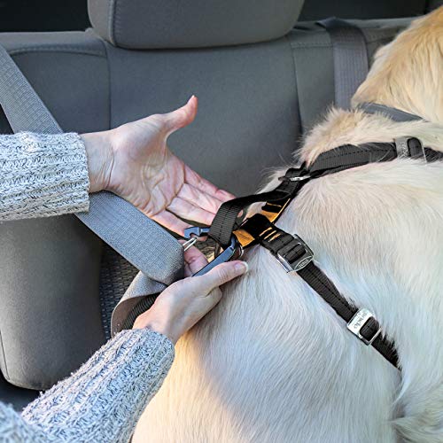 Diseño duradero de Kurgo para aventuras diarias con tu perro.