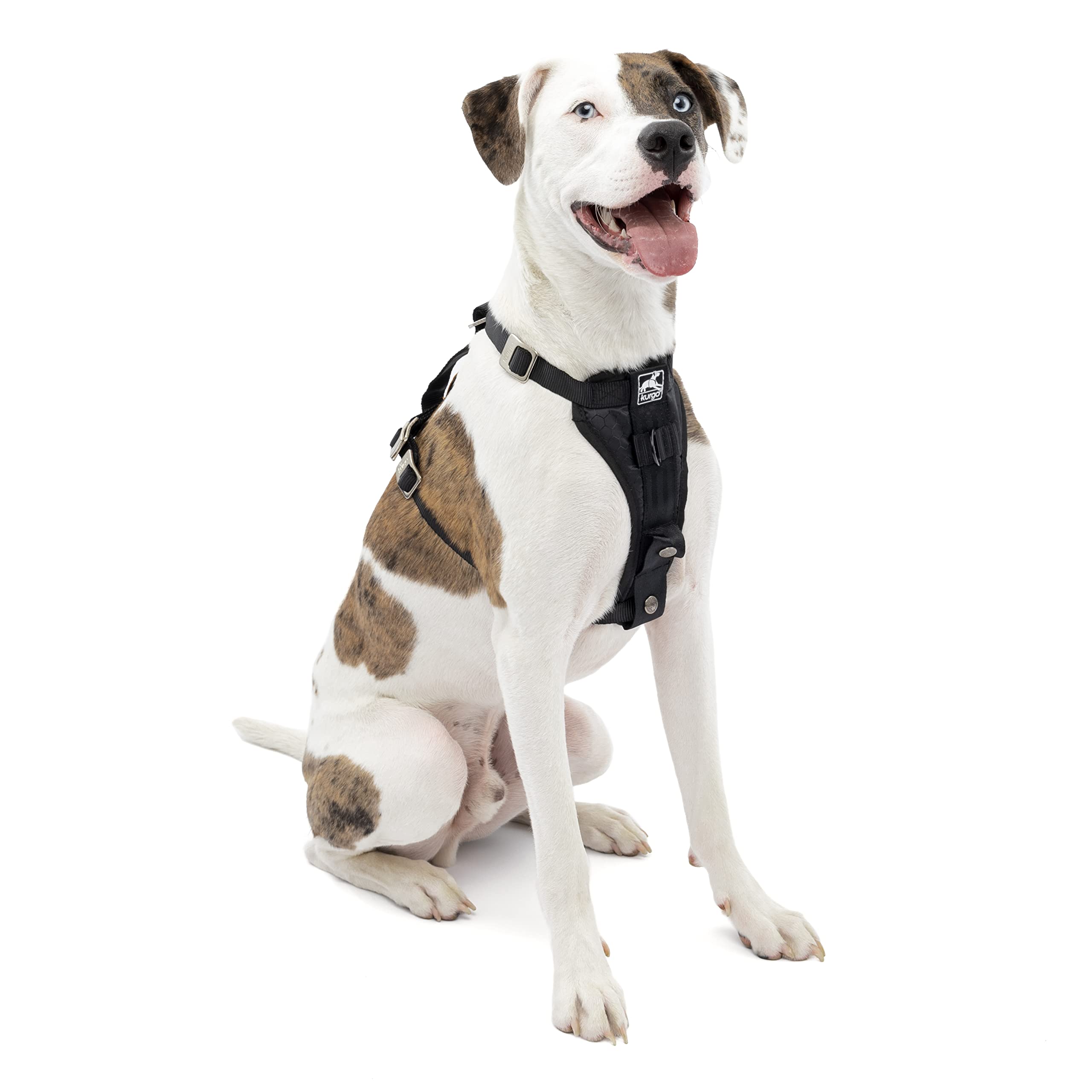 Kurgo Arnés Tru-Fit con pecho acolchado para paseos cómodos.
