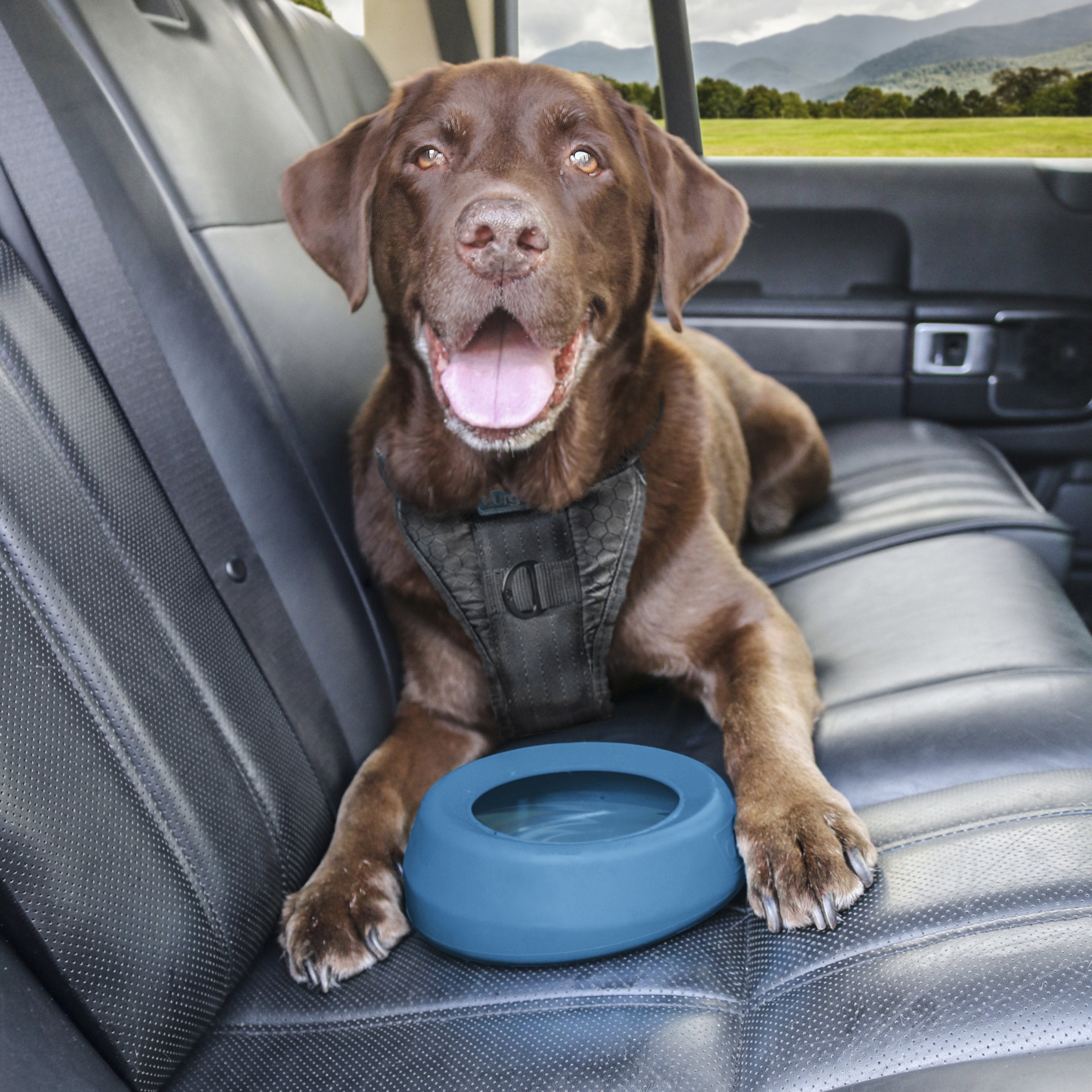 Kurgo cuenco para perros de 24 onzas, ideal para viajes largos.