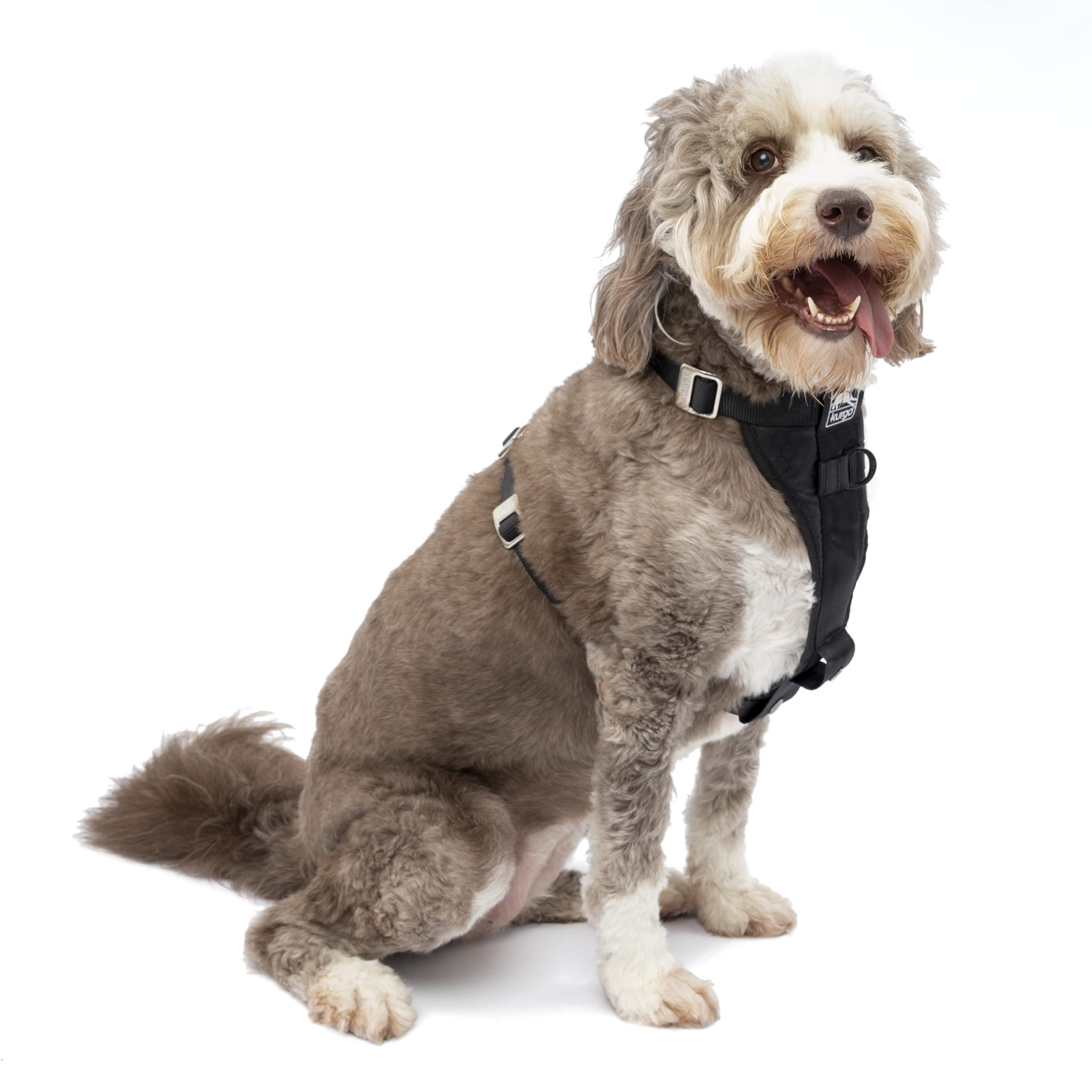 Kurgo Enhanced Strength Tru-Fit arnés de coche para perros con ajuste seguro para paseos diarios.
