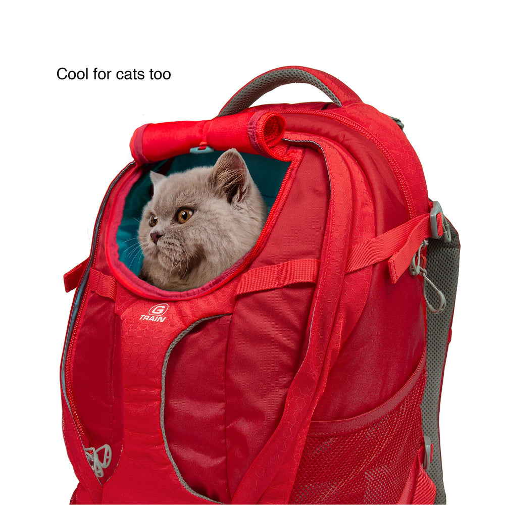 Correas guardadas para transportar como mochila en Kurgo G-Train.