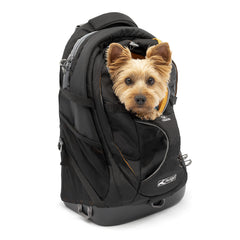 Kurgo G-Train vista frontal, mochila-canguro para perro, ideal para paseos al aire libre con comodidad.